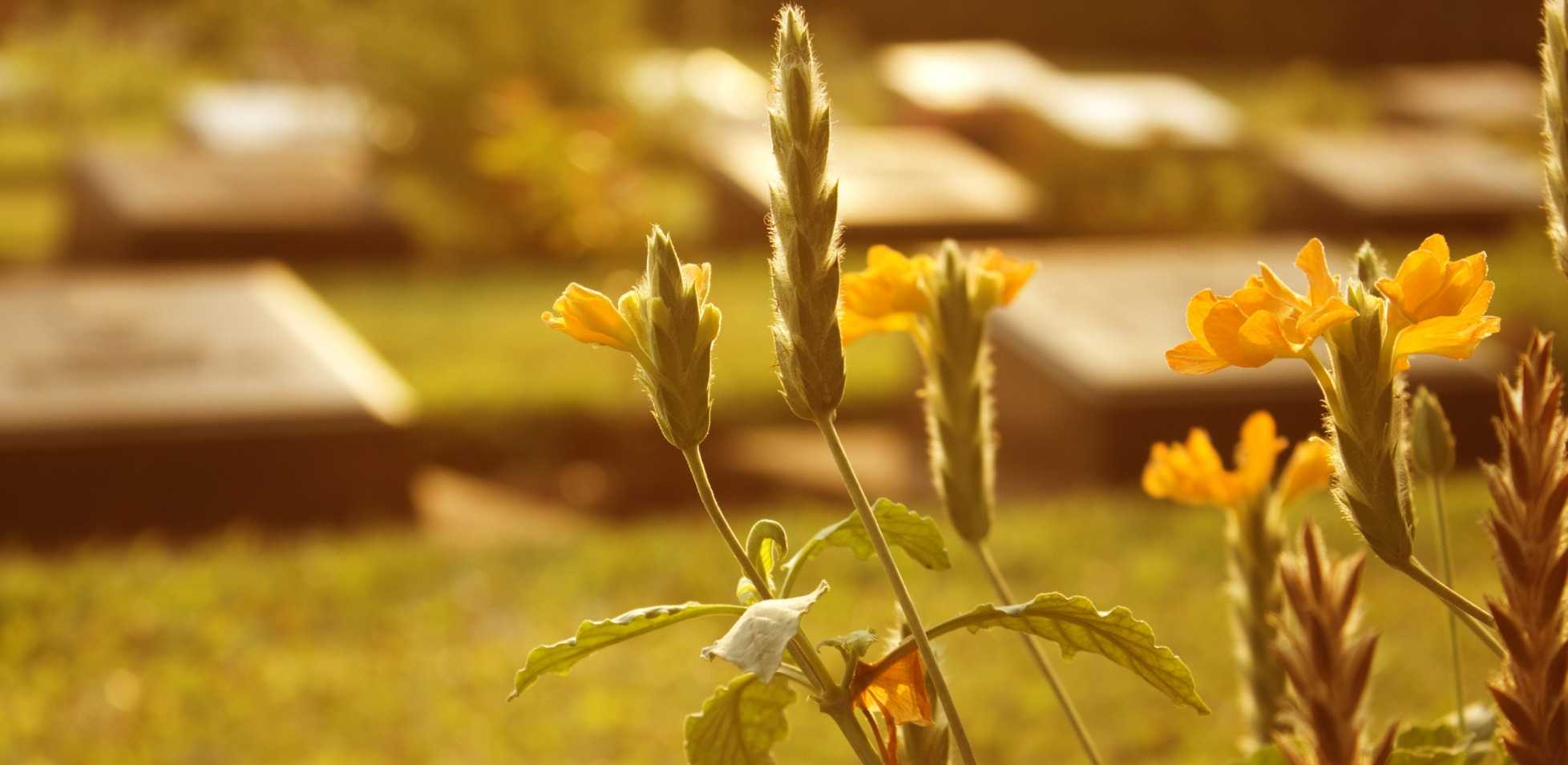 Losing Someone — Dealing with Grief as an Expat