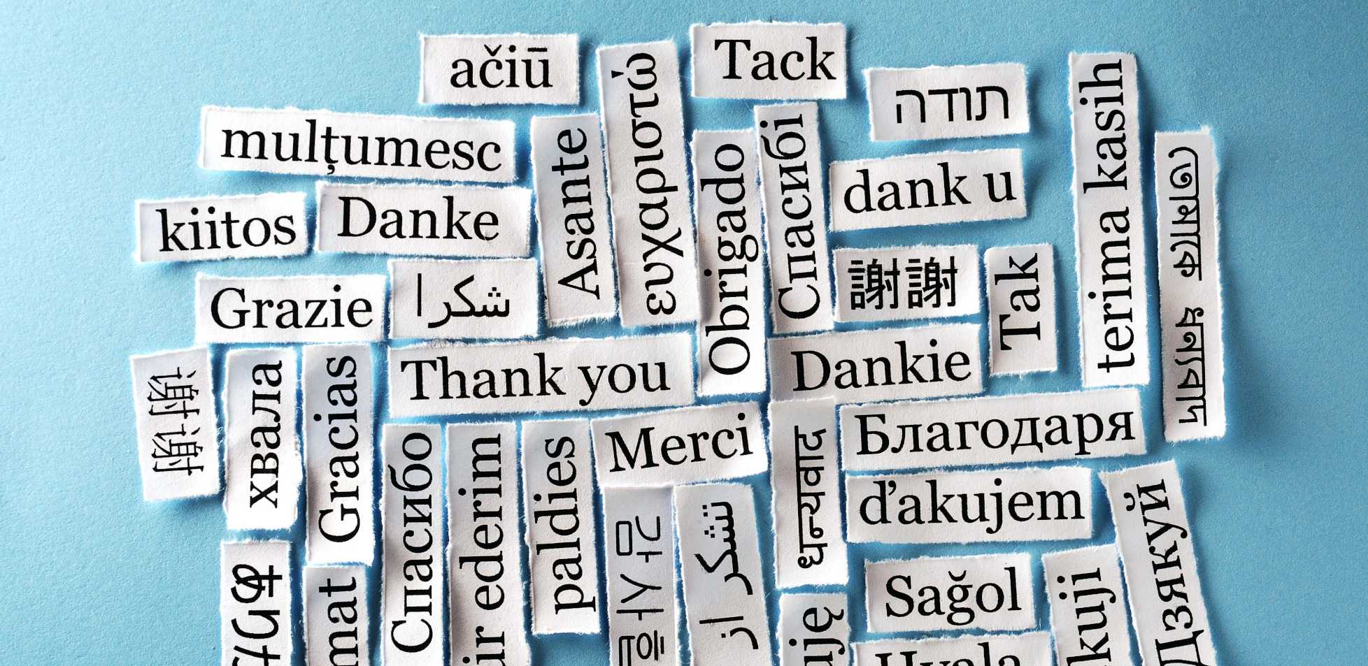 Using Your Native Tongue: A Reflection